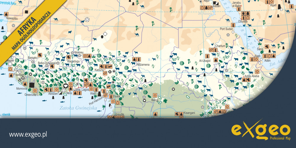 Afryka, mapa gospodarcza, kartografia ekonomiczna, gospodarka, usługi ,exgeo