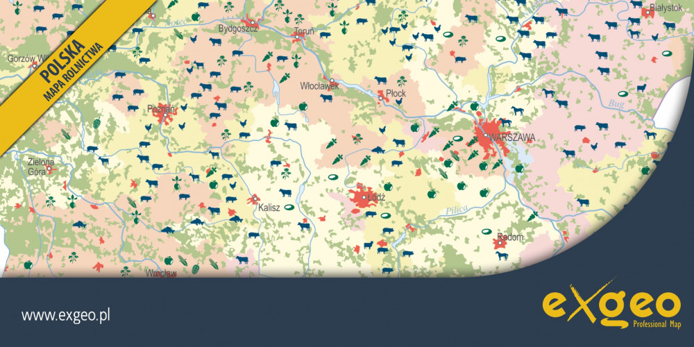 Polska, mapa rolnictwa, kartografia ekonomiczna, gospodarka, usługi ,exgeo